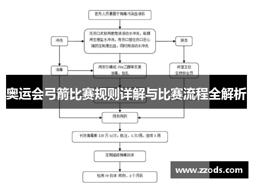 奥运会弓箭比赛规则详解与比赛流程全解析