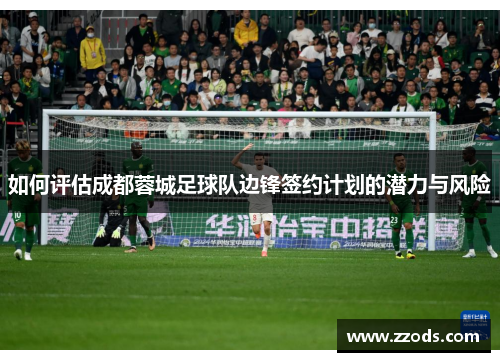 如何评估成都蓉城足球队边锋签约计划的潜力与风险